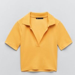 Ribbed crop polo shirt